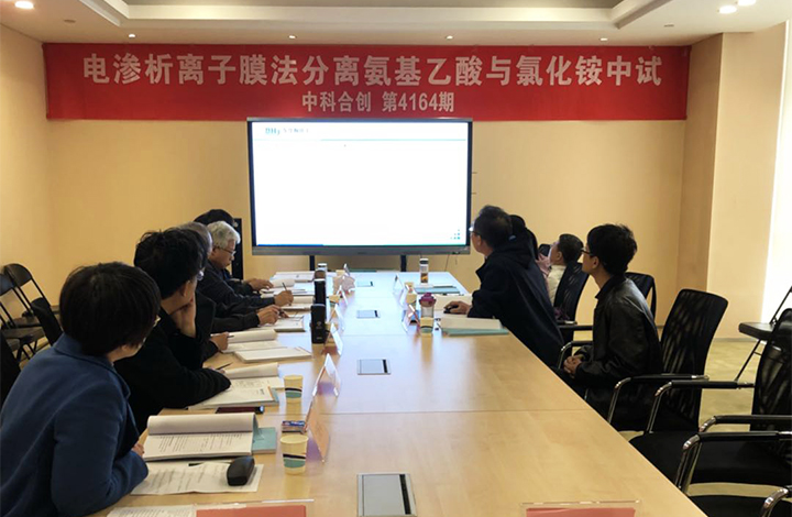 电渗析离子膜法分离氨基乙酸与氯化铵中试 anli.jpg